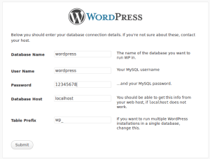 wordpress_install_3