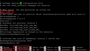 Raspberry Pi ssh.d_config