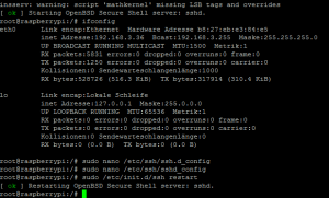 Raspberry Pi ssh restart