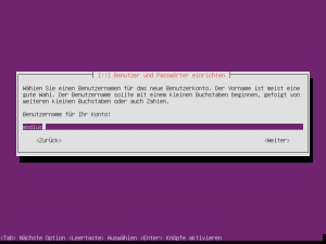 Ubuntu-Server-Install-10
