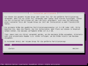 Ubuntu-Server-Install-18