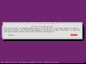 Ubuntu-Server-Install-24
