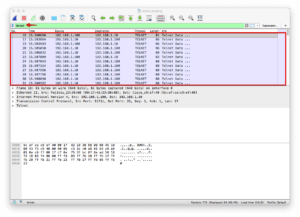 Wireshark telnet Session