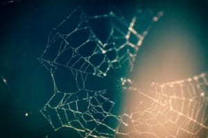 Neural Network Titelbild - Spinnennetz