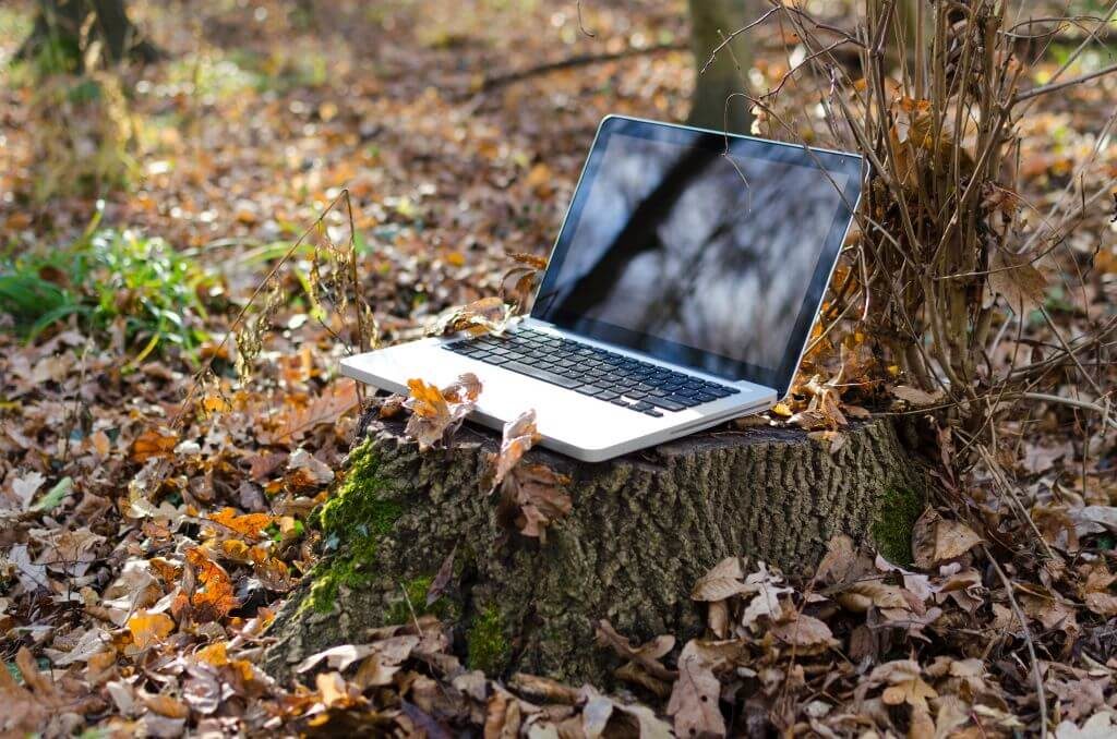 Laptop auf einem Baumstumpf