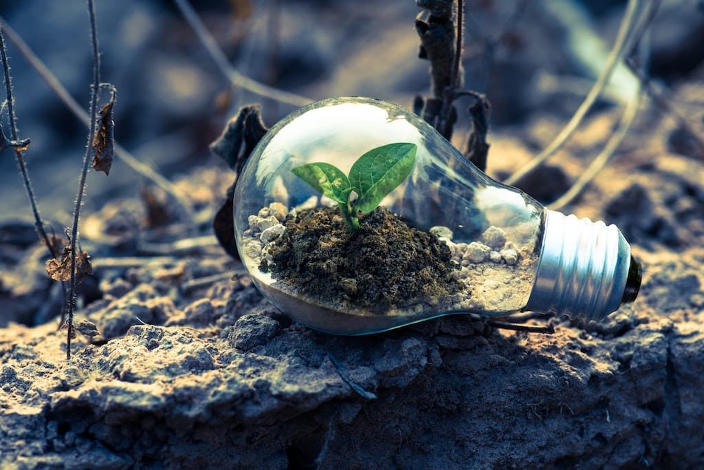 Titlebild Bodenfeuchtesensor - Pflanze in Glühbirne auf Naturboden